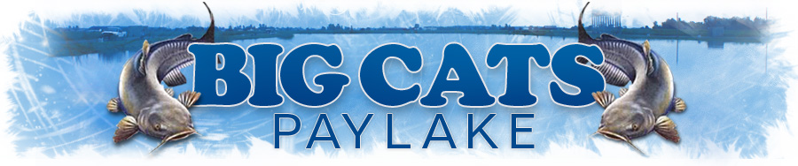Big Cats Paylake